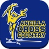 Ancilla College Cross Country