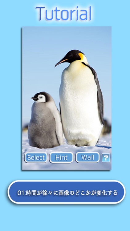 Landscapes of the sea