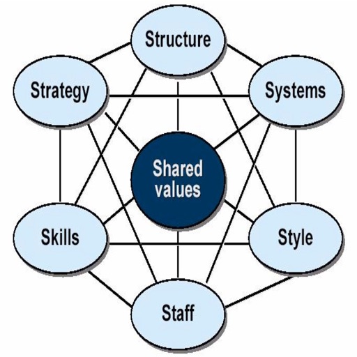 7s Framework Quick Study Reference: Cheat sheets with Glossary and Video Lessons icon