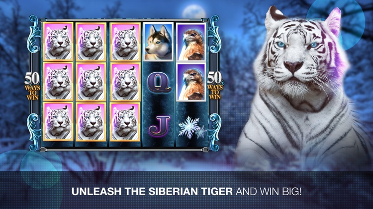 Super Tiger Way Slots screenshot-3