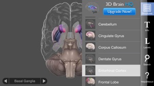 3D Brain screenshot #4 for iPhone