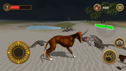 Bird Dog Chase Simulator screenshot 5