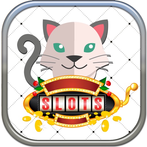 Feline Cats Slots - FREE Las Vegas Casino Premium Edition icon