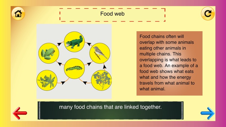 3rd Grade Science Glossary # 2: Learn and Practice Worksheets for home use and in school classrooms