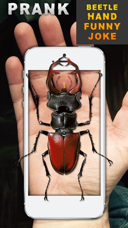 Beetle Hand Funny Joke