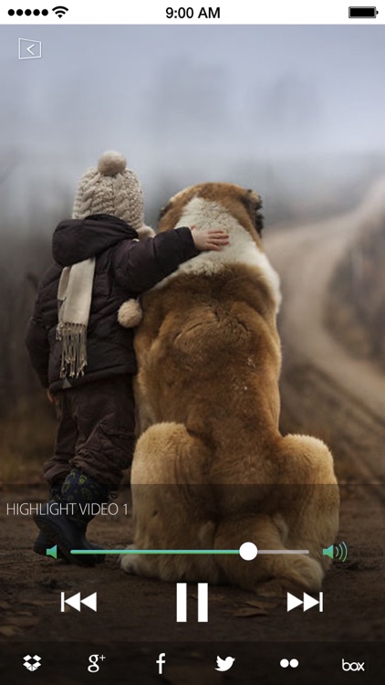 QikView - Smart Video Highlights screenshot-4