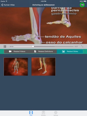 Anatomi & Fysiologi Animasjon 3D screenshot 3