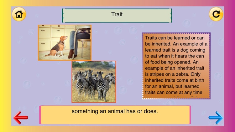 3rd Grade Science Glossary # 2: Learn and Practice Worksheets for home use and in school classrooms screenshot-3