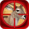 Deer Hunting Shooting Game