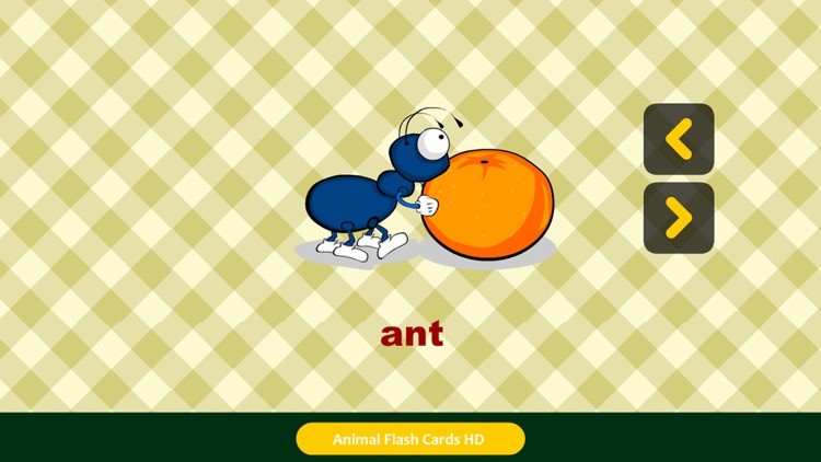 Animal Flash Cards HD