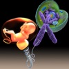 Genetic Disorders and Syndromes Pocket - iPhoneアプリ