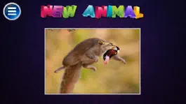 Game screenshot Simulator Morph Animal hack