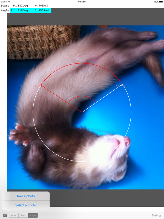 Screenshot #5 pour Photo Protractor