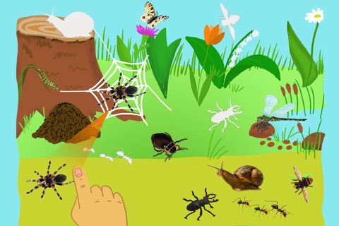 кто где живет - образовательная игра о жизни животных, насекомых и птиц, обучение дошкольников - Полная версия screenshot 4