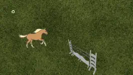 Game screenshot VeebRider mod apk