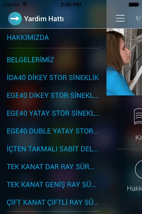 Sineklik