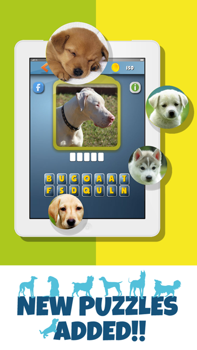 Screenshot #1 pour DogdomDogs - What's the dog breed? Guess the Dog from the Pics