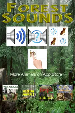 Game screenshot Forest Sounds Free mod apk