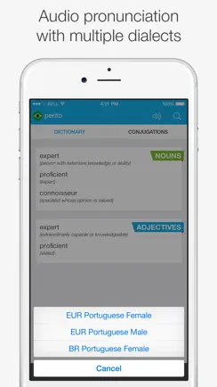 Brazilian – English Dictionary iPhone image 4