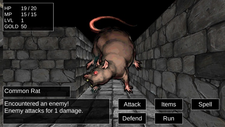 Dungeoneer Full
