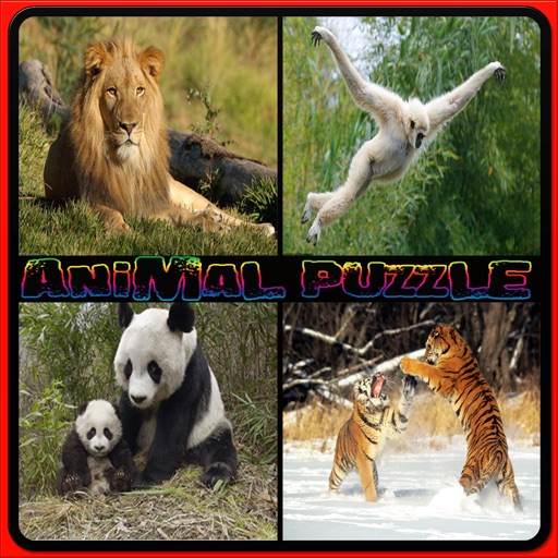 Kids Animal Puzzle - Wild animal puzzle for kids icon