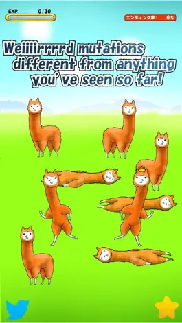 Game screenshot Alpaca Evolution Begins apk