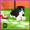 Crazy Kitty Cat Madness 3D contact information