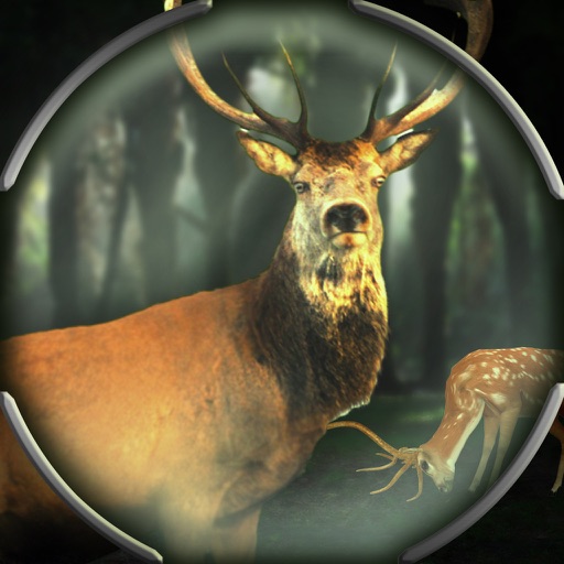 Wild Deer African Hunt 2015: Safari 3D iOS App