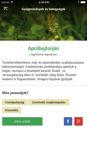 Györgytea(圖5)-速報App