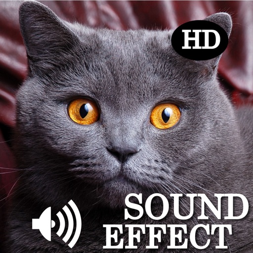 Animal Crazy Legend Sound HD icon