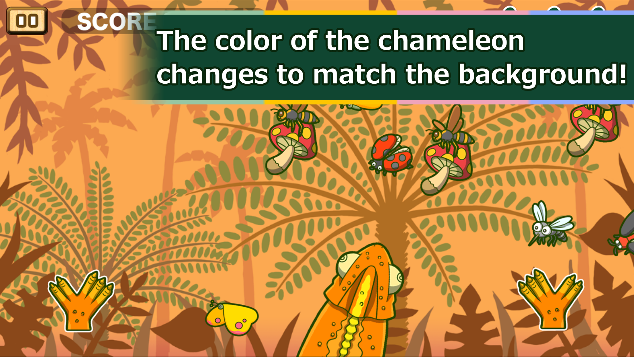 ChameleonLunch