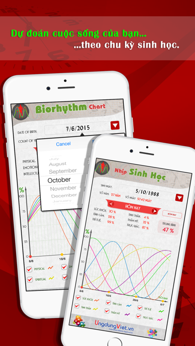 Screenshot #2 pour Nhịp Sinh Học