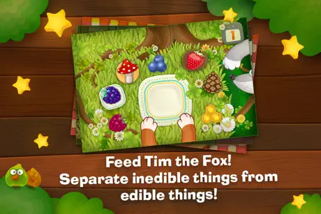 Tim the Fox