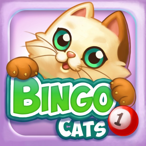 Bingo Cats Bingo Cats