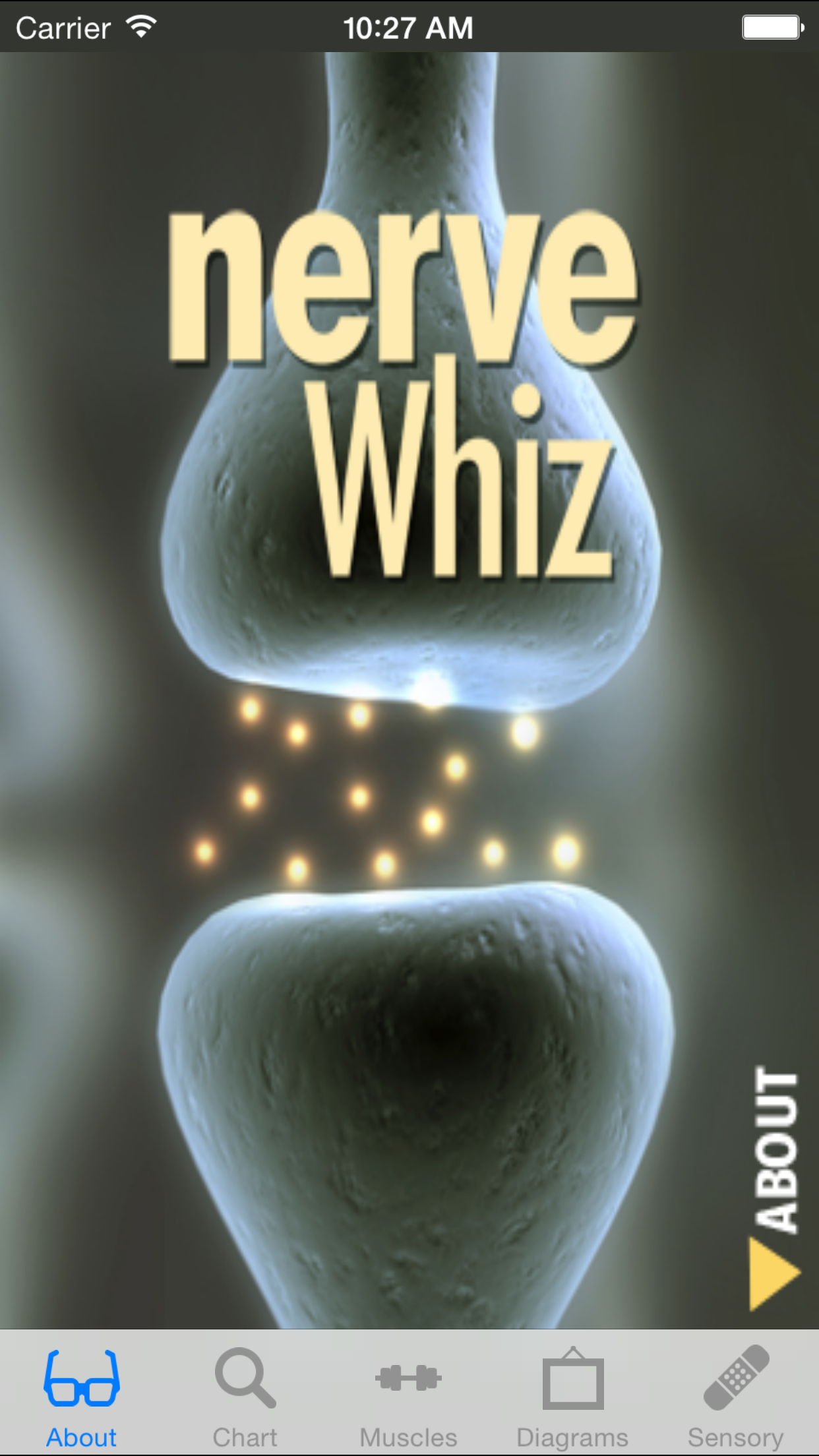 Nerve Whiz