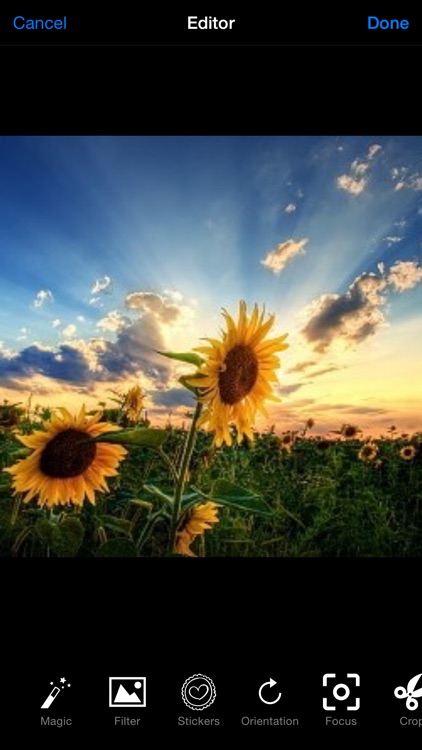 Photo & Camera Editor screenshot-4