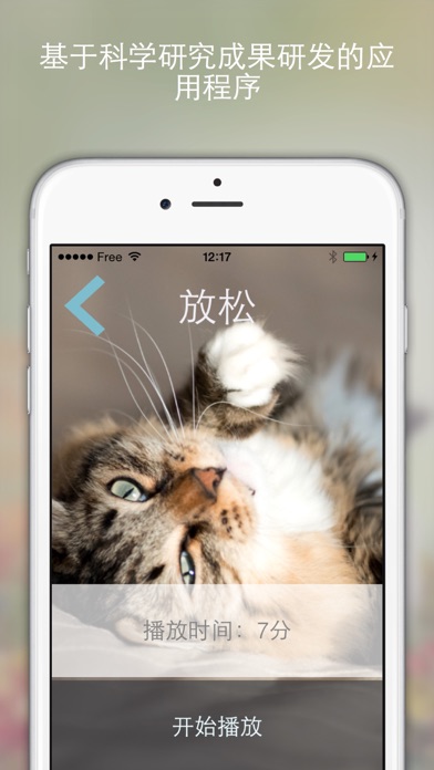 Cat Relax 喵放松：猫咪们的音乐飨宴 玩得开心看着你的猫反应，由他们的音乐 screenshot