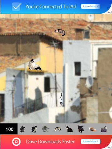 Screenshot #5 pour Find 101 Cats