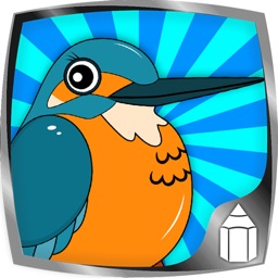 Télécharger Comment Dessiner Des Oiseaux Pour Iphone Ipad