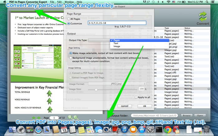 PDF to Pages Converter Expert