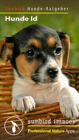 Hunde Id - Welcher Hund passt zu mir? Sunbird Ratgeber zur A(圖1)-速報App