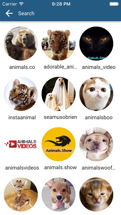 Hashtags statistics for Instagram