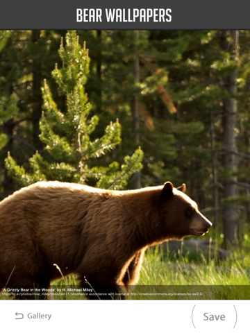 Screenshot #6 pour Bear Wallpaper