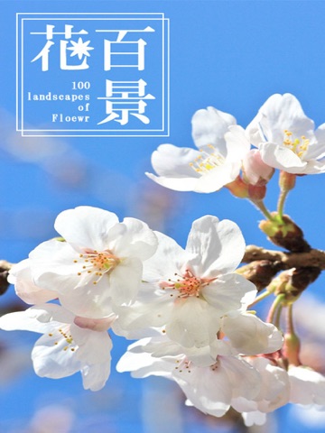 Screenshot #4 pour Landscapes of the flower