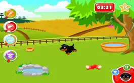 Game screenshot My Sweet Dog 3 - Позаботьтесь для вашего милый виртуальной щенка! hack
