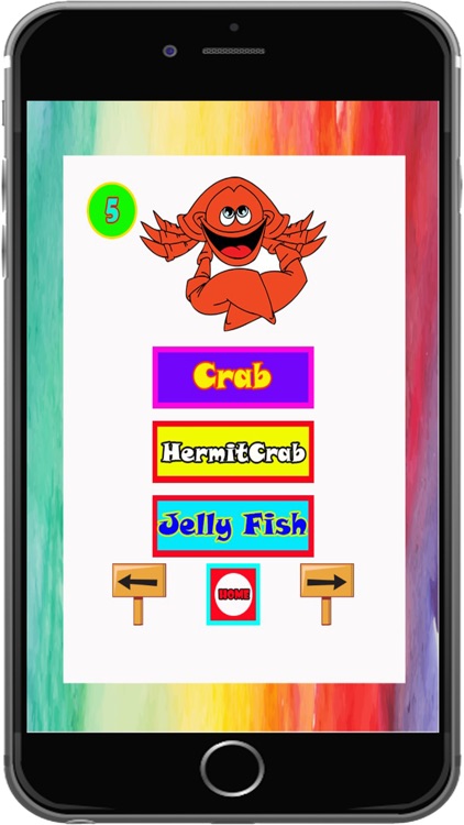 Lovely Animal Puzzle Quiz