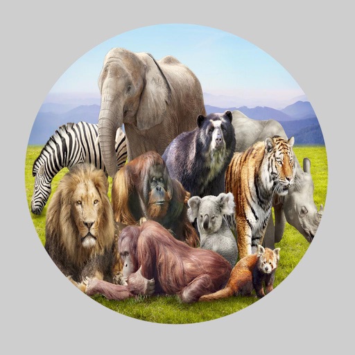 حديقة الحيوانات التعليمية Educational zoo icon