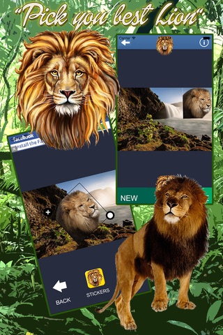 Lion Sticker App screenshot 4