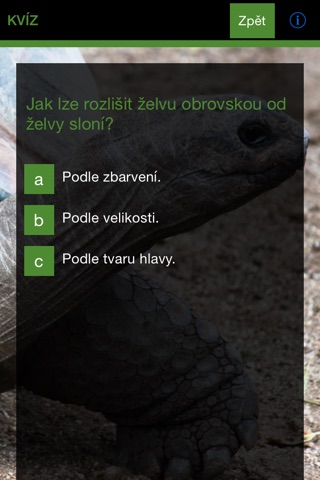 Pavilon želv screenshot 3