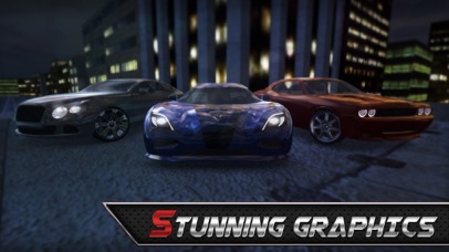 Real Driving 3D Screenshot 3